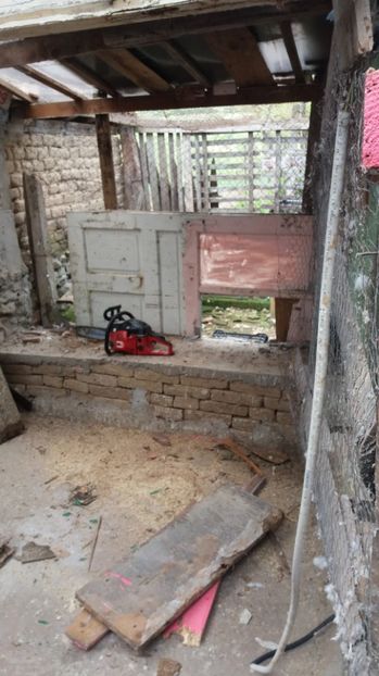  - VOLIERA MEA MODESTA