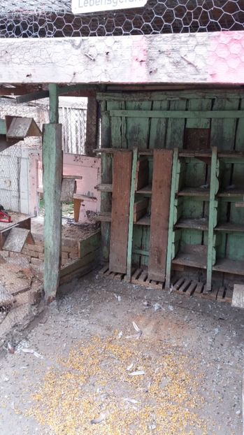  - VOLIERA MEA MODESTA