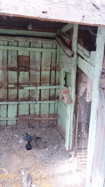  - VOLIERA MEA MODESTA