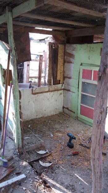  - VOLIERA MEA MODESTA