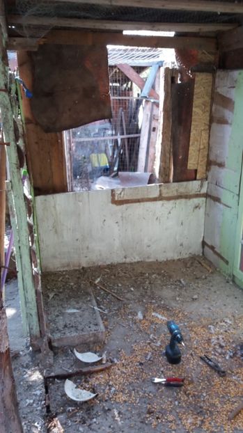  - VOLIERA MEA MODESTA