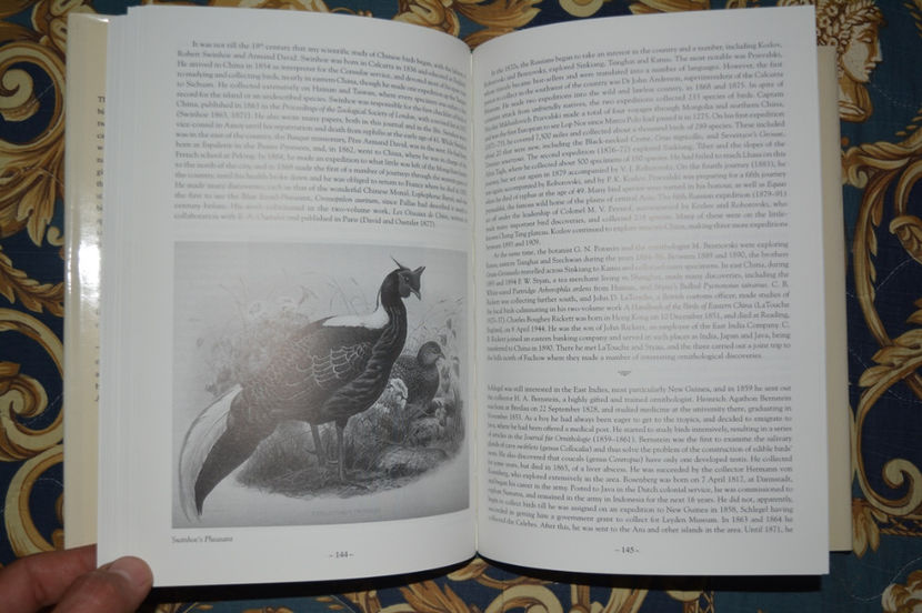 ofera multe raspunsuri - L1 - Literatura - ornitologie