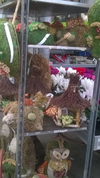  - In Beier markt  cu muulte plante