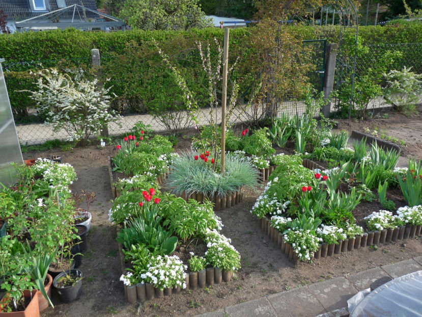 P2070642 - 2017 - 01 - Primavara