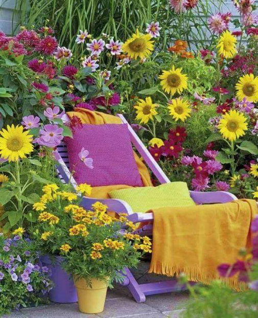  - IDEI PENTRU GRADINA 1