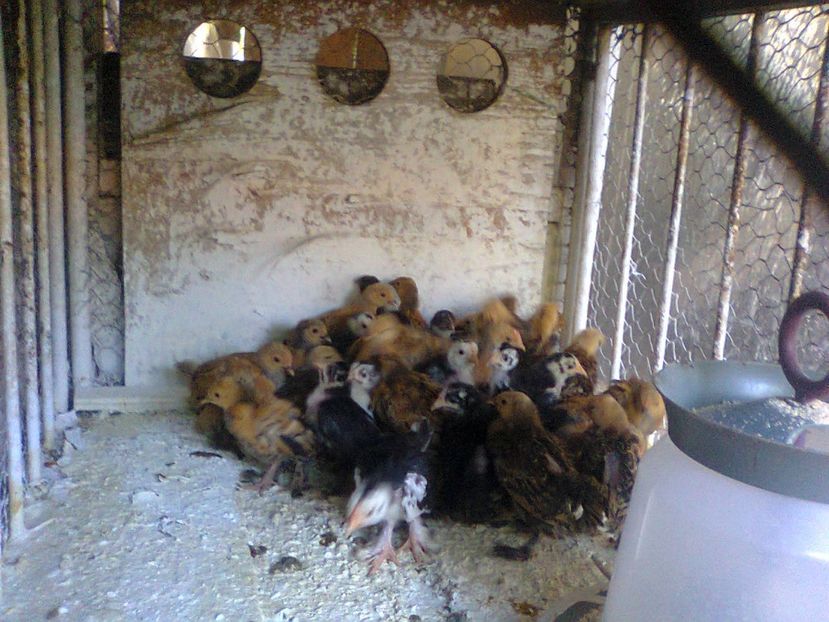 Fotografie2572 - seria 2