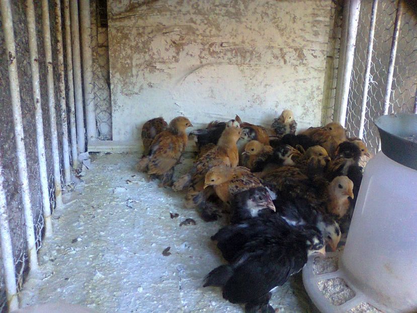 Fotografie2570 - seria 2