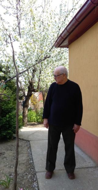 tata inspecteaza gradina - 2017 gradina mea de la tara