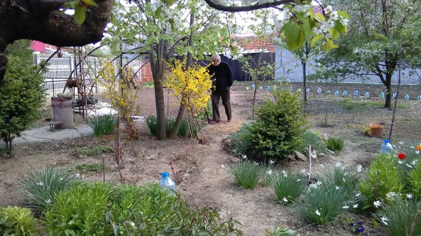  - 2017 gradina mea de la tara