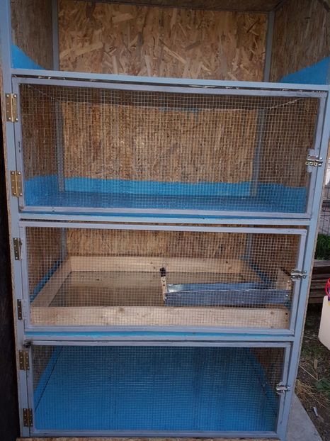  - 0-Constructie adapost custi