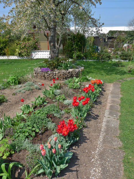 P2070519 - 2017 - 01 - Primavara