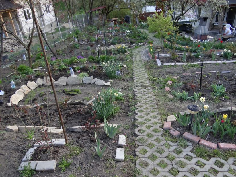 vedere de sus :)) - Mon Jardin prinde contur