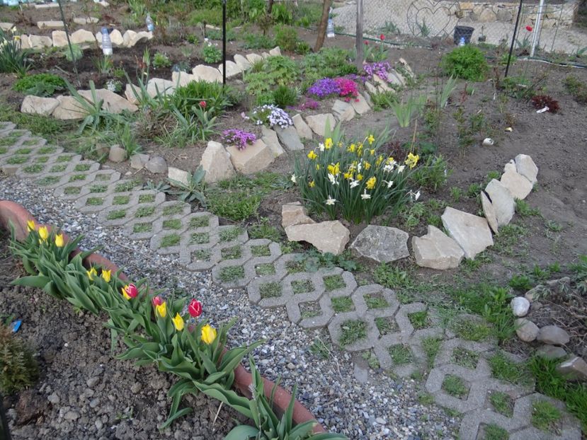  - Mon Jardin prinde contur