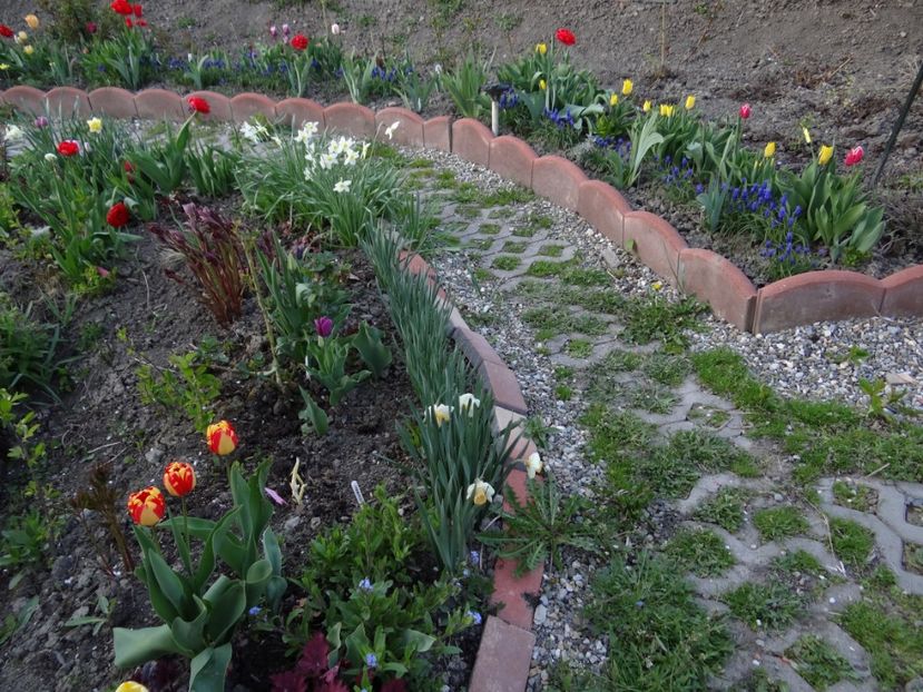  - Mon Jardin prinde contur