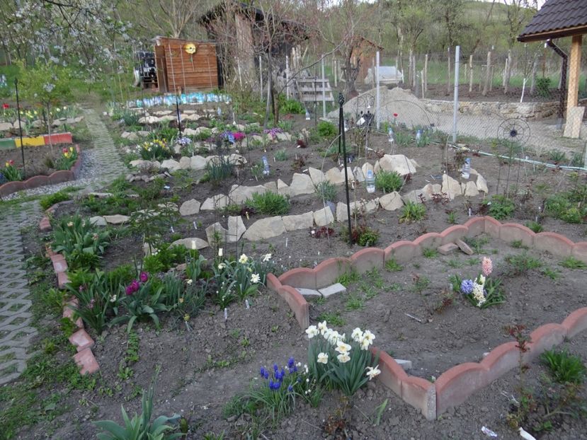 vedere de jos - Mon Jardin prinde contur