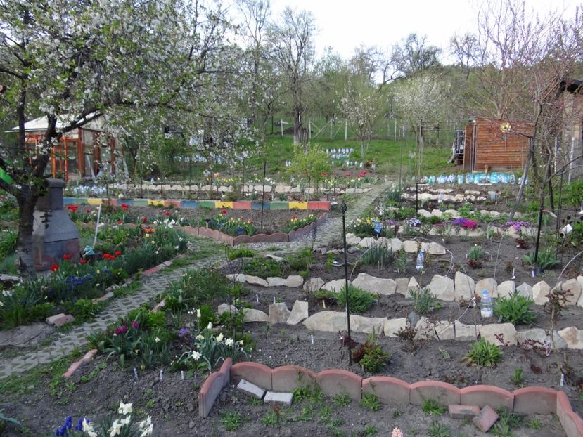  - Mon Jardin prinde contur