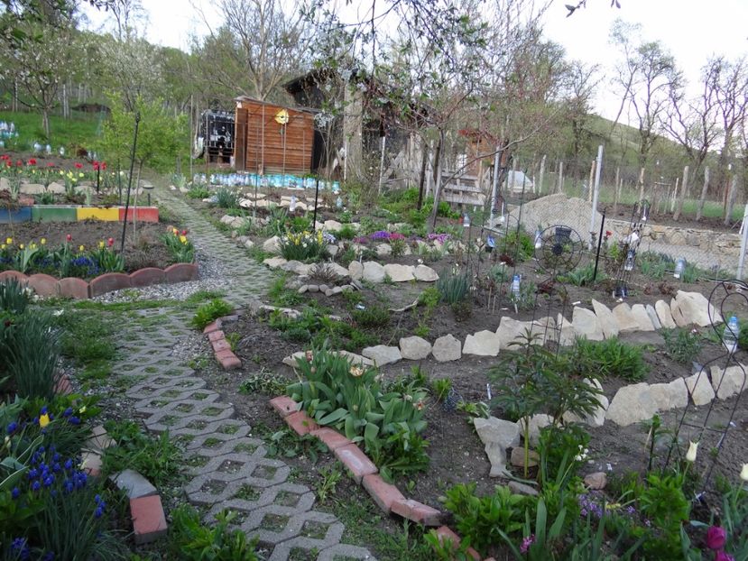  - Mon Jardin prinde contur