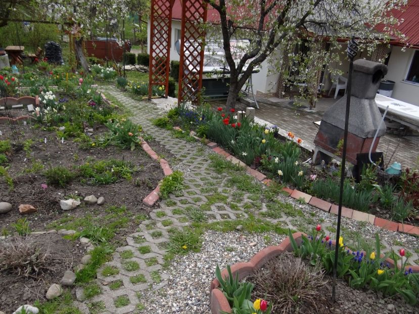  - Mon Jardin prinde contur