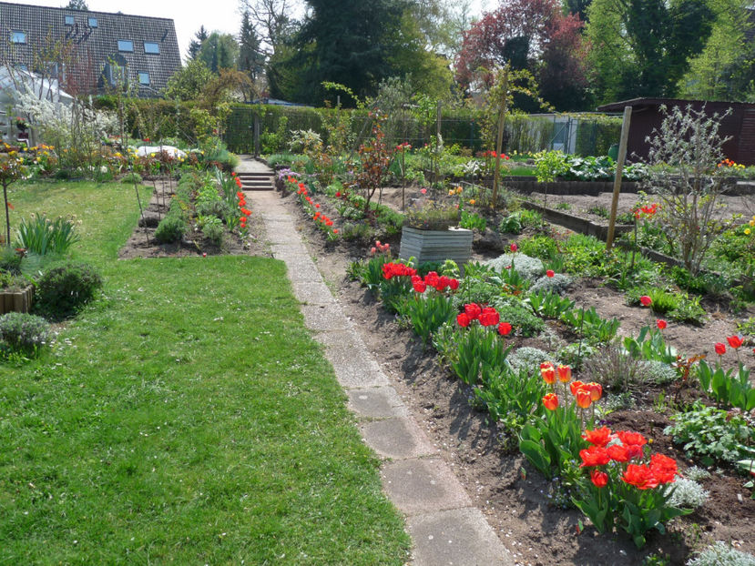 P2070536 - 2017 - 01 - Primavara