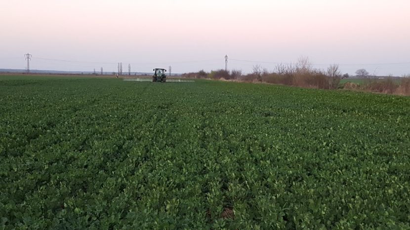  - agriculltura