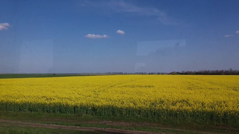  - Primavara lui Aprilie