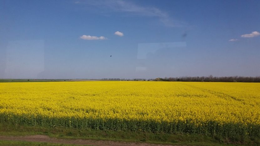  - Primavara lui Aprilie