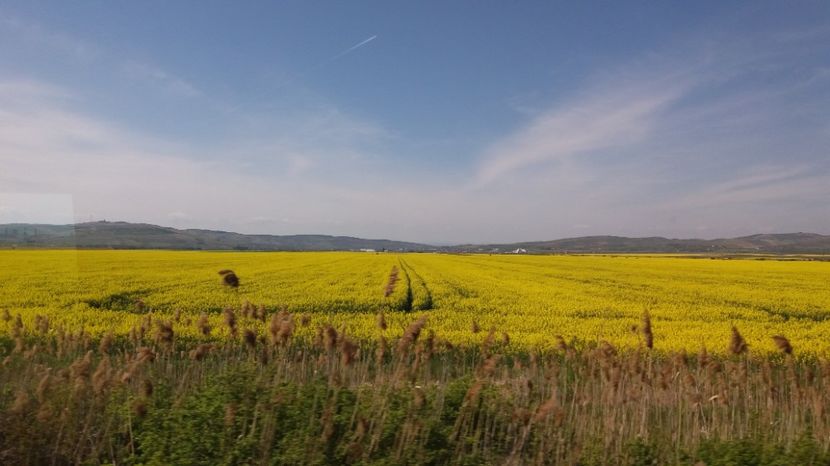  - Primavara lui Aprilie