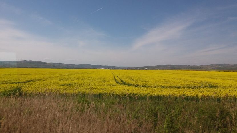  - Primavara lui Aprilie