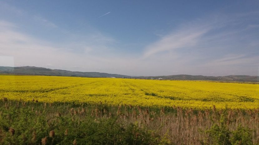  - Primavara lui Aprilie