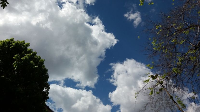  - Primavara lui Aprilie