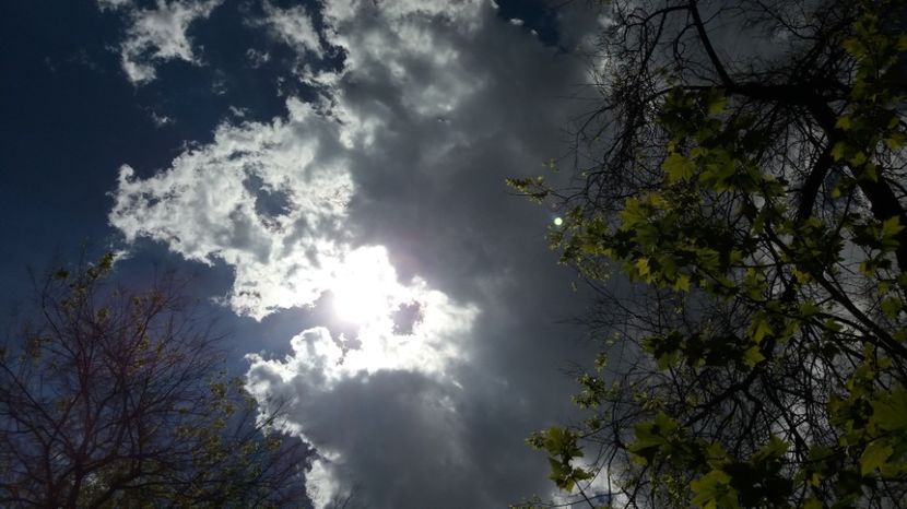  - Primavara lui Aprilie