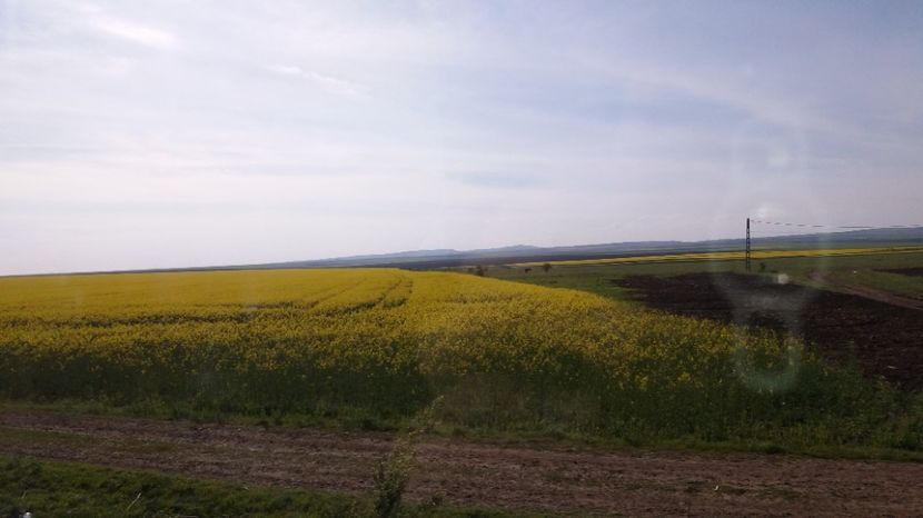  - Primavara lui Aprilie