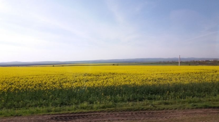  - Primavara lui Aprilie