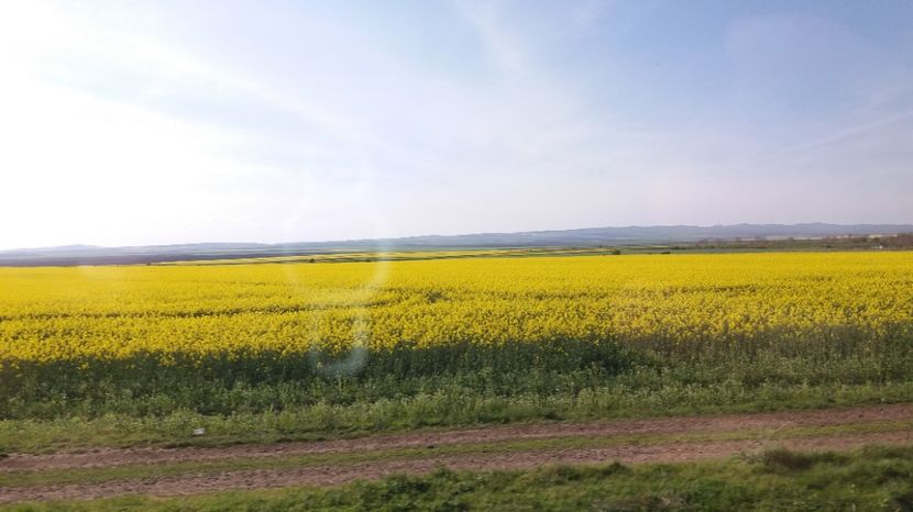  - Primavara lui Aprilie