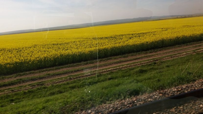  - Primavara lui Aprilie