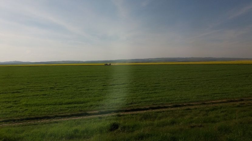  - Primavara lui Aprilie