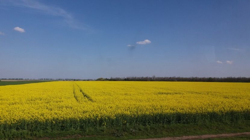  - Primavara lui Aprilie