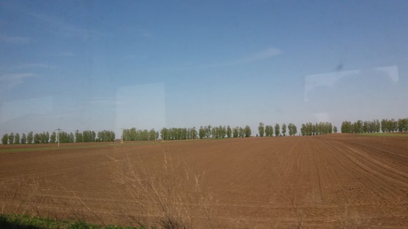  - Primavara lui Aprilie