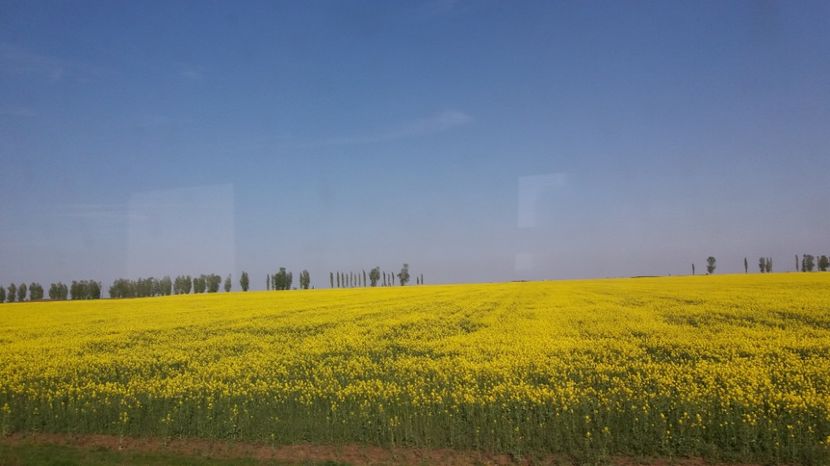  - Primavara lui Aprilie