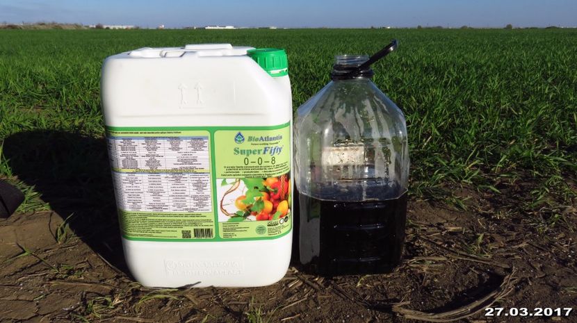  - 28-03-2017 - 1 tratament foliar Dl Ing Octavian Guler