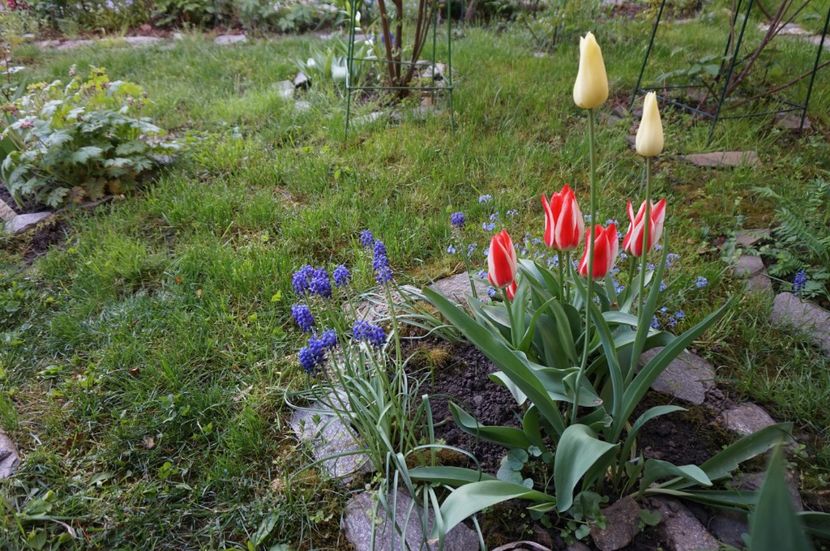  - 2017 Gradina