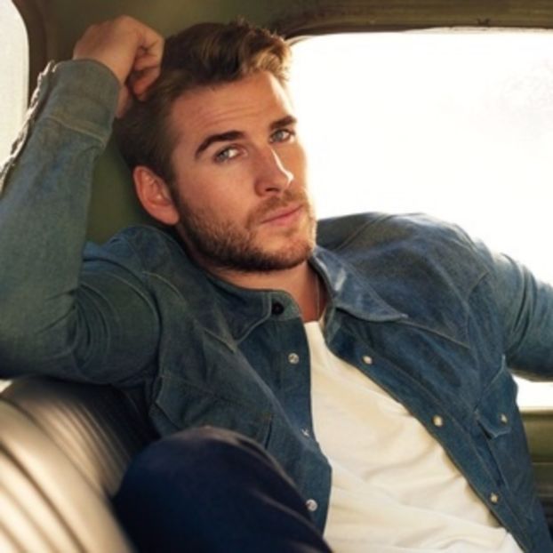 　　∞ Liam Hemsworth ∞ @baby - this is literally perfection - xoxo