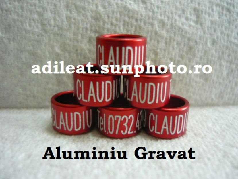 P1120909 - 1-A-INELE PERSONALIZATE 2017