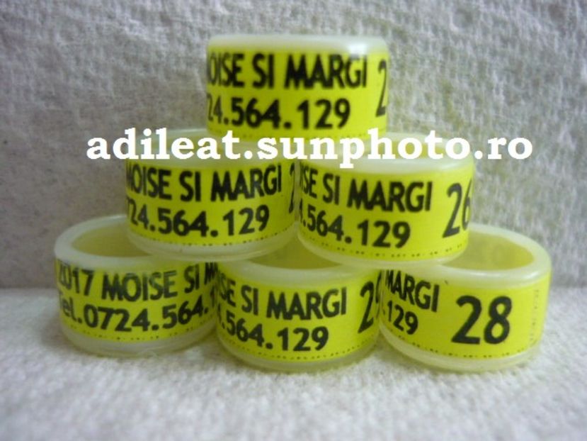 P1120914 - 1-A-INELE PERSONALIZATE 2017