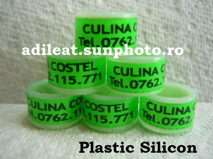 P1120915 - 1-A-INELE PERSONALIZATE 2017