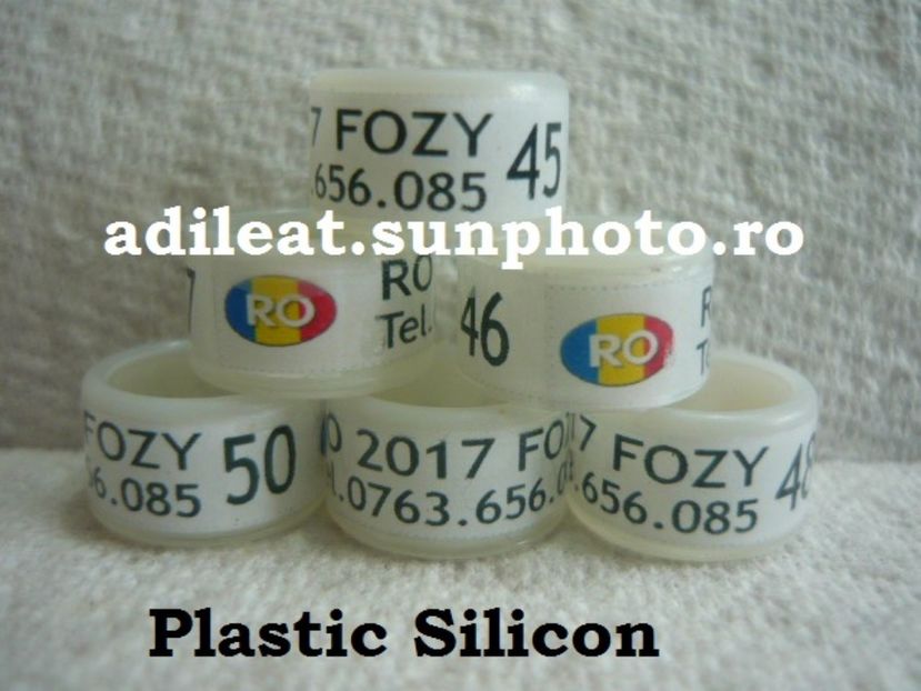 P1120916 - 1-A-INELE PERSONALIZATE 2017