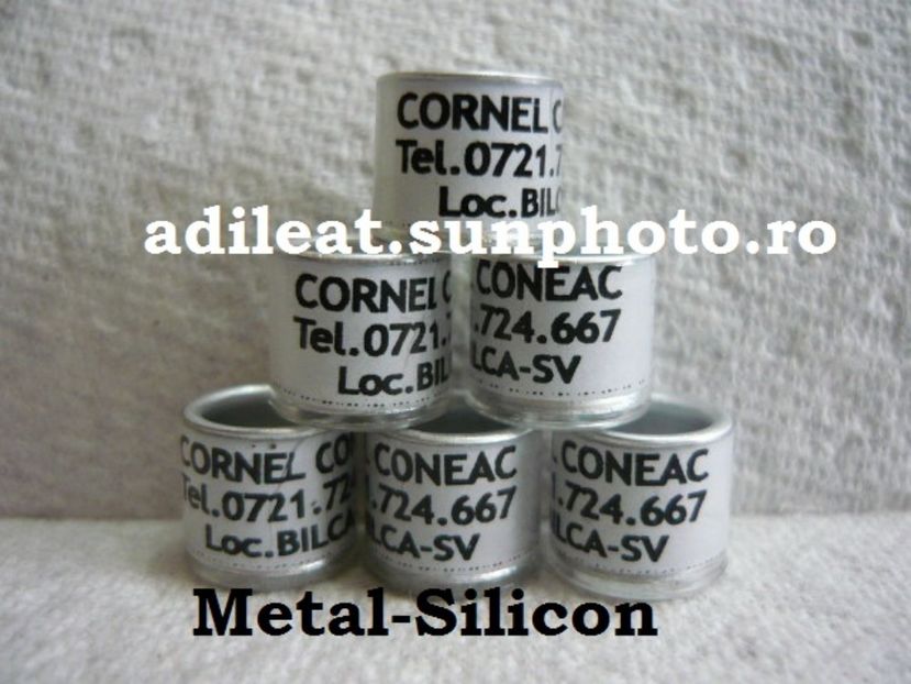 P1120919 - 1-A-INELE PERSONALIZATE 2017