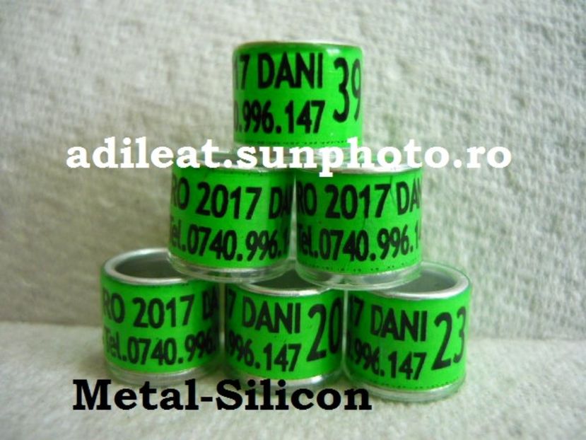 P1120920 - 1-A-INELE PERSONALIZATE 2017