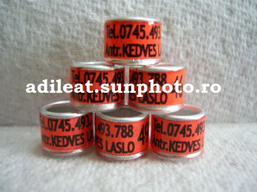 P1120924 - 1-A-INELE PERSONALIZATE 2017