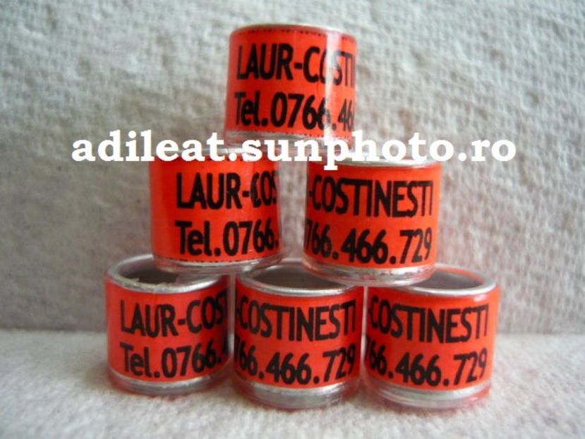 P1120925 - 1-A-INELE PERSONALIZATE 2017